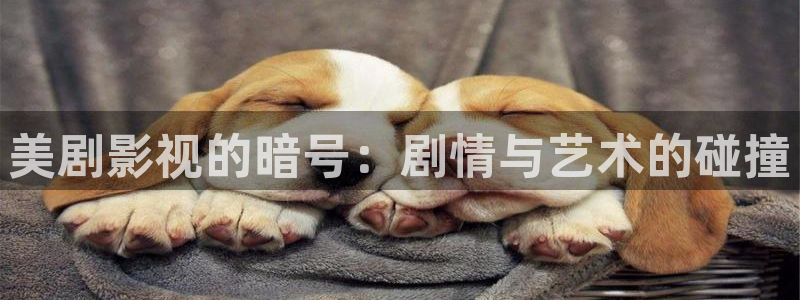 一起睡觉吧动画片樱花免费观看