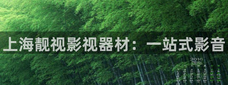 看樱花的视频