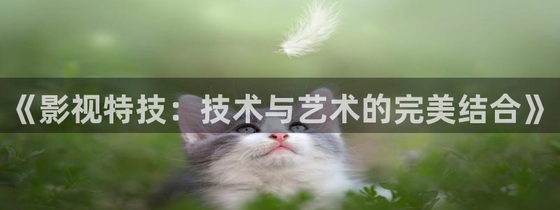 樱花电影高清完整版