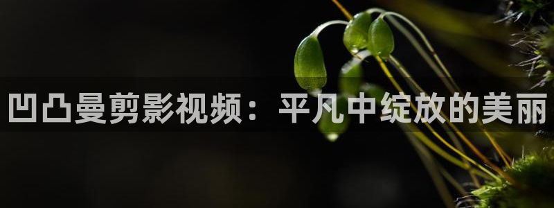 樱花大全大图