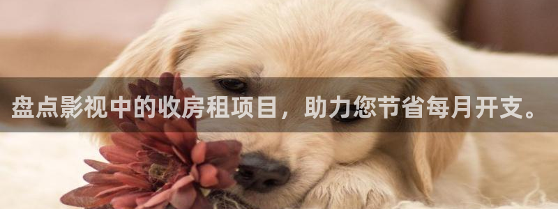 樱花看电影