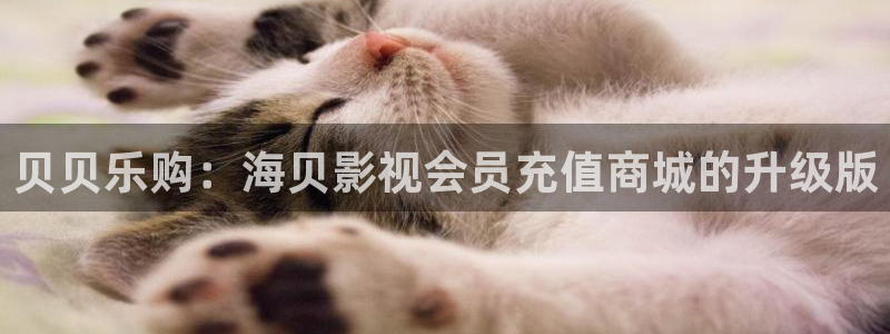 樱花树下 电影