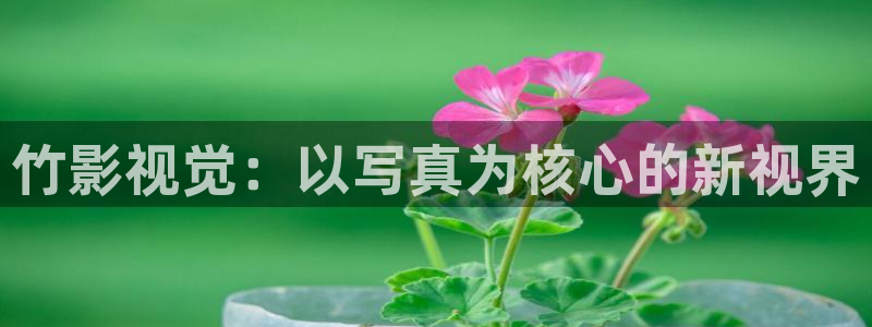 浪漫樱花的电影完整版
