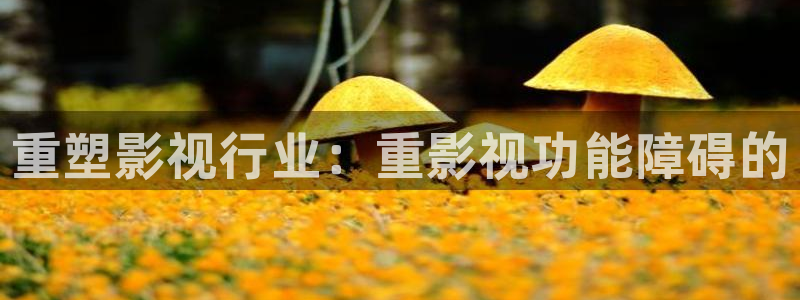 浪漫樱花电影免费完整版